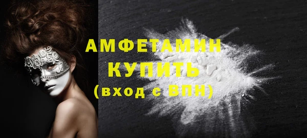гидра Краснослободск