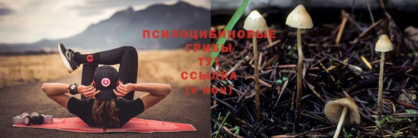прущий лед Краснотурьинск
