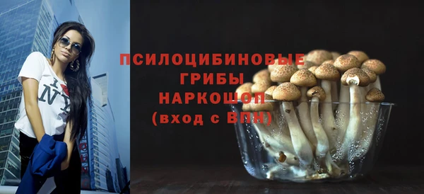 дмт Кукмор