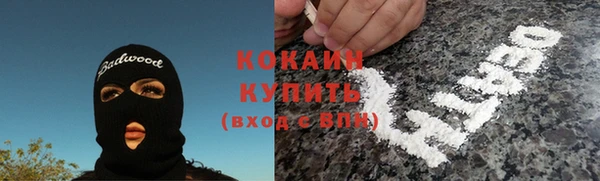 молекула духа Кулебаки
