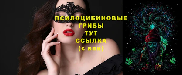 шишки Куйбышев