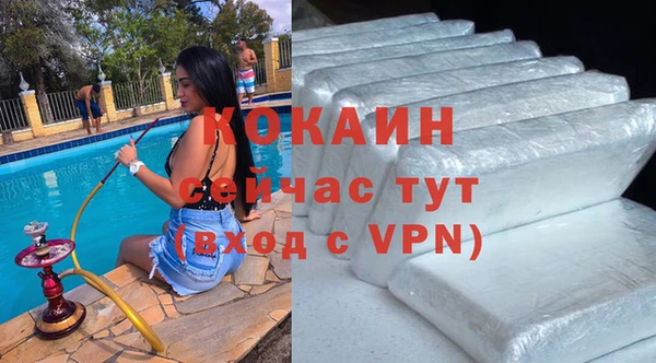 молекула духа Кулебаки
