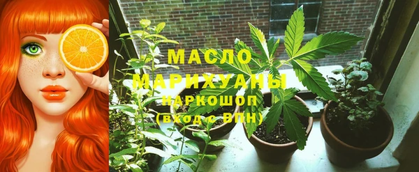 молекула духа Кулебаки