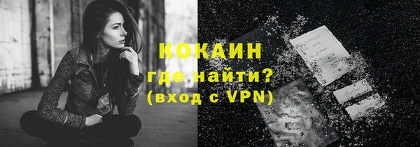 молекула духа Кулебаки