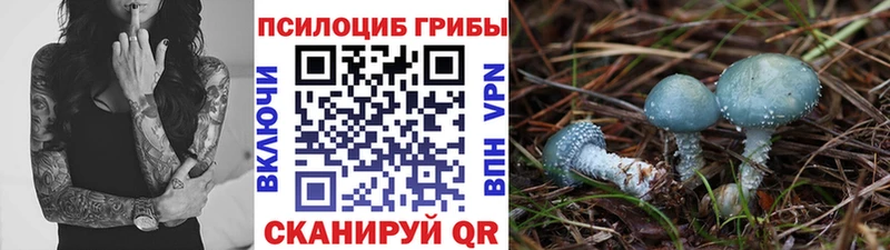 сайты даркнета клад  Красный Сулин  omg как войти  Галлюциногенные грибы Magic Shrooms  купить  